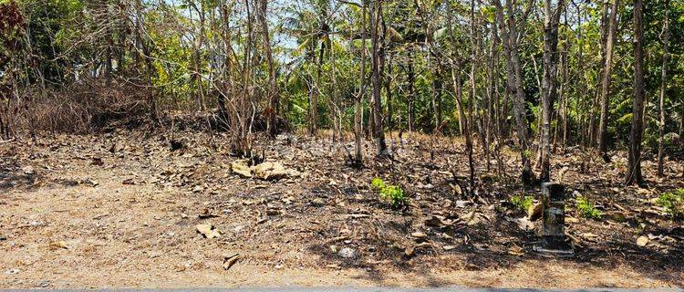 Tanah Kavling, Lokasi Cukup Strategis Di Ds Kulur, Temon, Kulonprogo 1