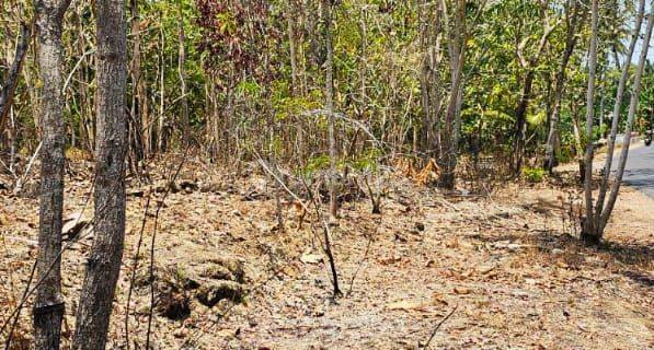 Tanah Kavling, Lokasi Cukup Strategis Di Ds Kulur, Temon, Kulonprogo 1