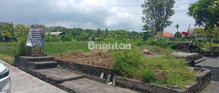 TANAH STRATEGIS DI DEKAT PANTAI KERAMAS, BALI 1