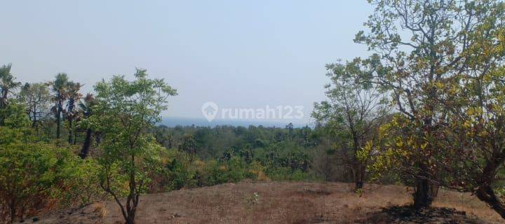 Dijual kavling harga banting at Kubu Karangasem Bali 1