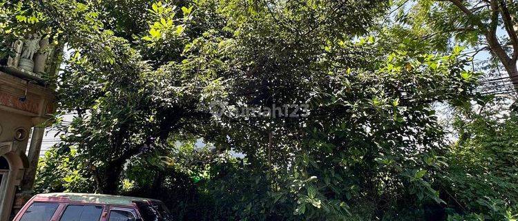 Barang Langka Kavling Tanah Luas Di Main Road Dieng Siap Bangun 1