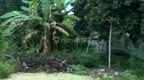 Tanah Raya Diponegoro Sampang Madura Murah Lokasi Strategis NAT.A002 1