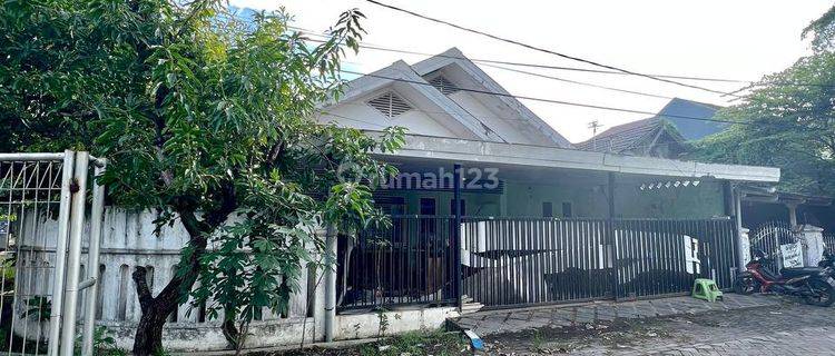 Rumah di Pondok Tjandra Nanas, Surabaya Sam.ya4467 1