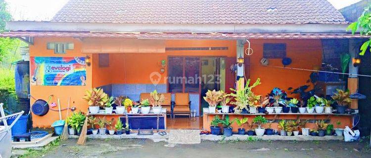 Rumah Murah SHM 300 Jutaan Di Jumoyo, Magelang 1