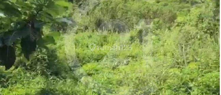 Dijual Tanah di Halambang Sentul Bogor 1