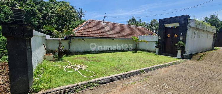 Beautiful Spacious Villa in Comfortable Area Near Tabanan City Center 1