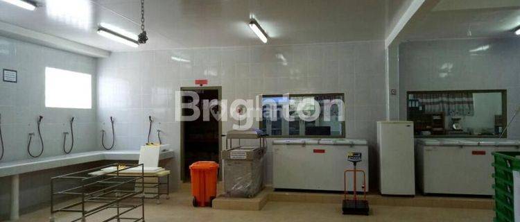 Gudang Untuk Bisnis Frozen di Kedonganan Jimbaran 1