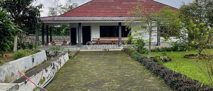 Subang jl serang panjang LAY 1