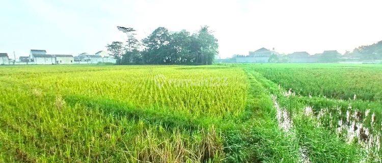Nego Sampe Jadi Lahan Area Perumahan Cikoneng Bojongsoang Die 1