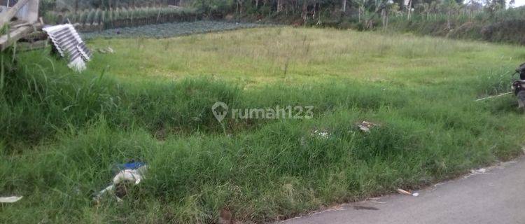 Jual Murah Tanah Untuk Berkebun Perumahan Nagrak Harga Cuma 250jt 1