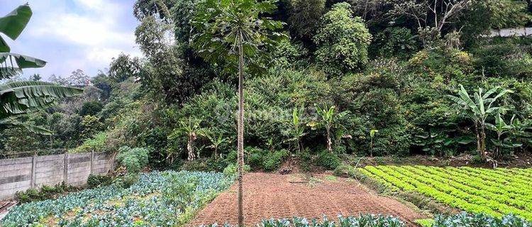 Jual Murah Tanah Ciwaruga View Lembah Bandung Utara 1