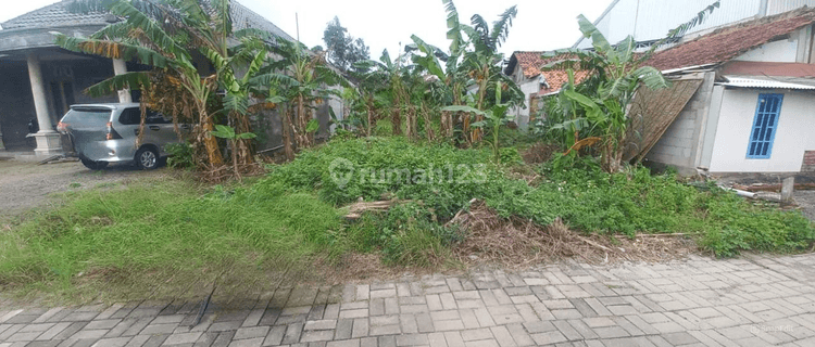 Tanah SHM cocok buat Gudang lokasi Karangawen 1
