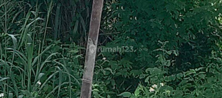 Tanah Genuk Padi Raya Lokasi Strategis 1
