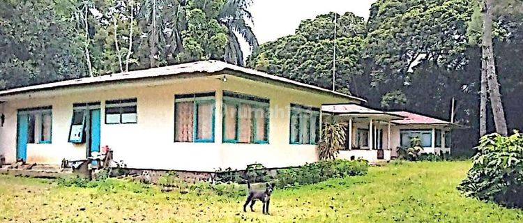 Tanah Perkebunan Dan Bangunan Lengkong Ciracap, Sukabumi Luas  1