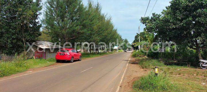 Tanah Banyu Putih Jl Raya Sugandu Batang Zona Industri, Strategis 1