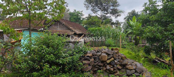 Dijual Tanah Sangat Murah Lokasi Boyolali Jawa Tengah 1