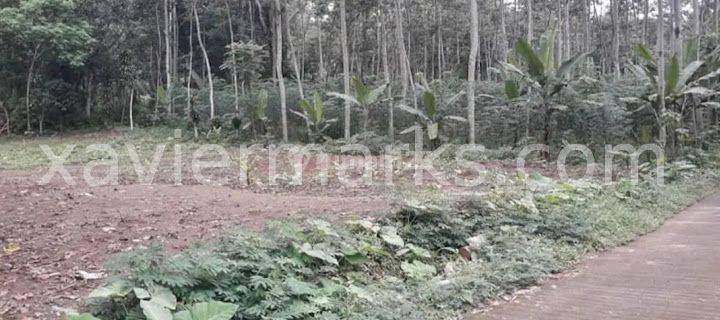 Dijual Tanah Fasilitas Lengkap Untuk Industri Lokasi Boyolali 1