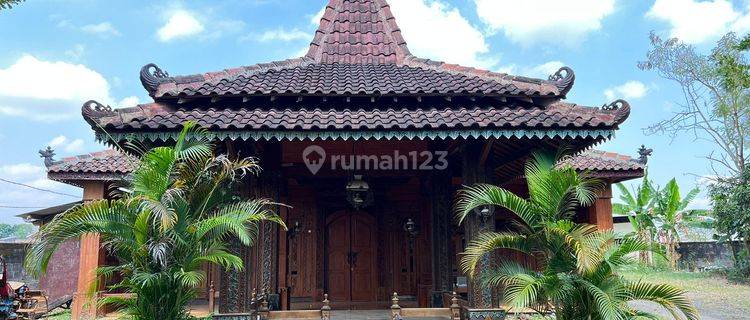 Rumah Ciamik Bangunan Utama Full Joglo Lokasi Karanganyar Solo 1