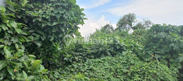 Tanah Bentuk U 5jt Per Meter Lokasi di Semarang Utara 1