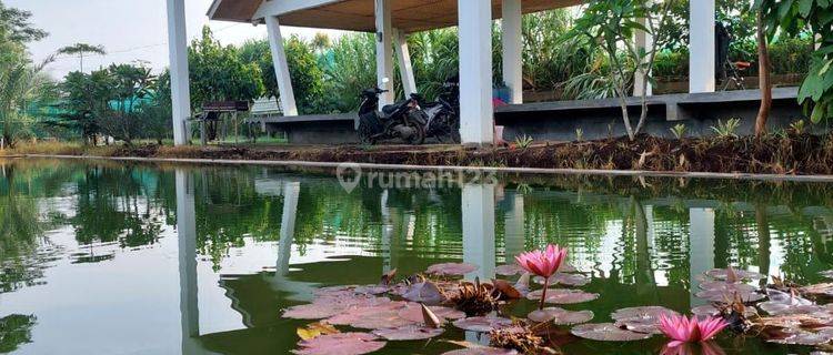 Turun Harga Tempat Wisata Bandung Ludologi Garden Jual Cepat 1