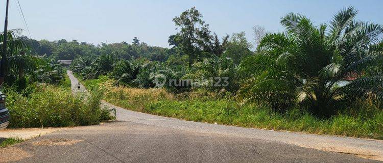 Tanah 2.5 Ha di Koba Giri Maya, Pangkalpinang Bangka  1