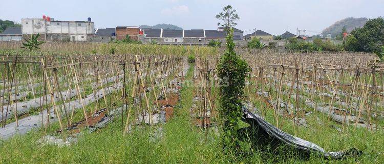 Bangunan Gudang 1500 m² Dan Lahan 5 Ha Jalan Batujajar Main Road  1