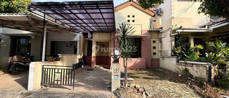 Sewa Rumah di PERUMAHAN ALAM HIJAU CITRALAND ,105, 25,jt 1