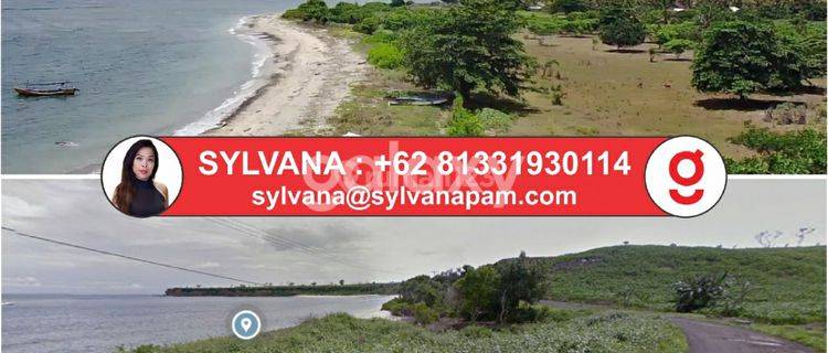 Sumbawa Beachfront Land direct Access and Surf Reef  Capital 1