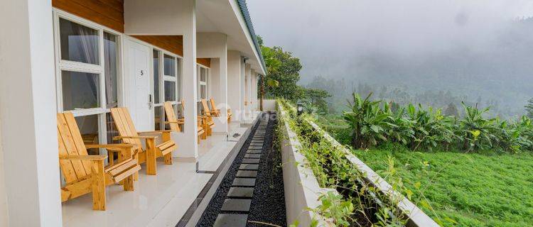 Hostel Probolinggo Bromo Pemandangan Gunung Bromo  dan Paiton 1