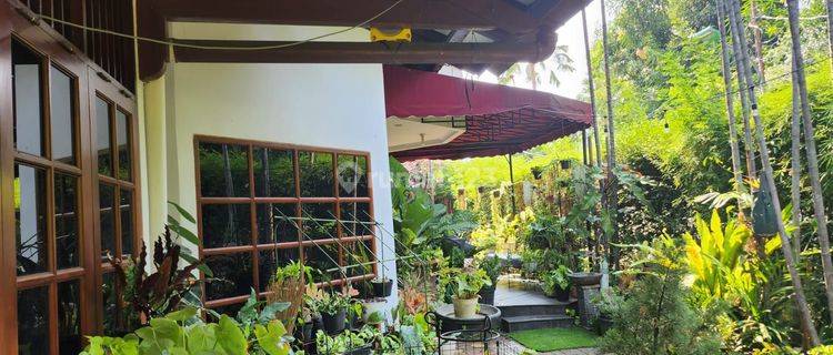 Jarang Ada Bisa Lelang Dan Secondary Rumah Bagus  Bagus Dan Asri Di Jl Pulomas Rawamangun Jakarta Timur  1