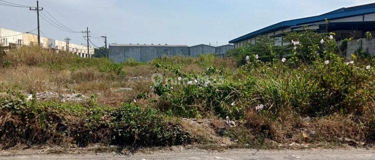 Tanah Tambak Sawah Surabaya Harga Murah Dav.ya1626 1
