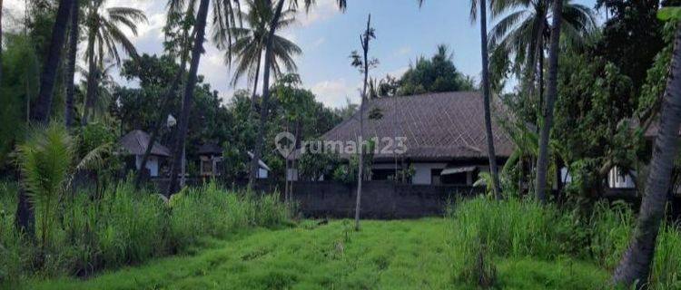 Tanah Los Pantai Dijual di Singaraja Bali 1