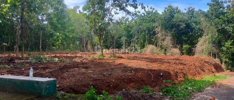 Dijual murah kavling di Bendosari Sukoharjo 300 an ribu per meter 1