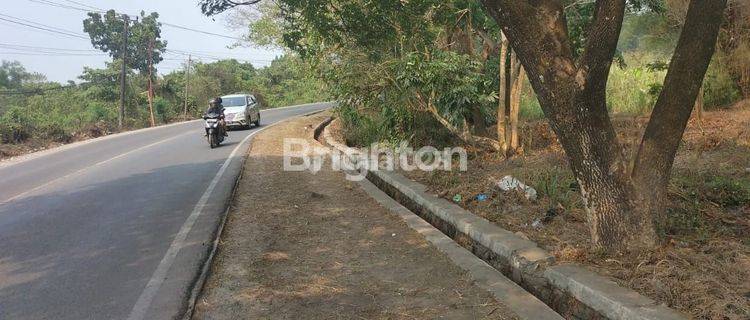 CEPAT TANAH DI RANGKASBITUNG 1