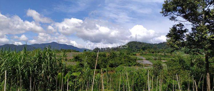 Tanah Murah Di Kebandungan Kab Sukabumi Cocok Untuk Pertanian  1