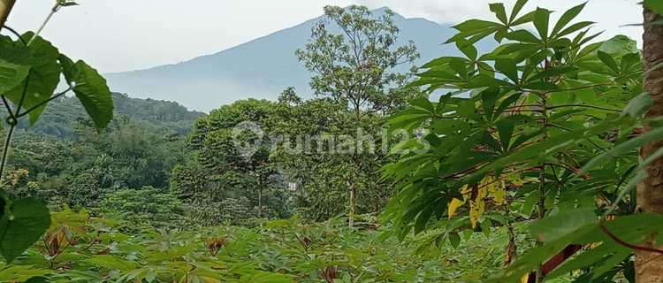 Tanah View Gunung Di Kawasan Gunung Geulis Sukaraja Bogor 1