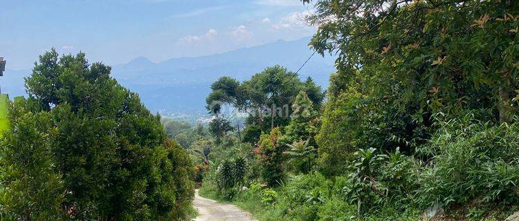 Tanah Best View Dekat Boja Farm Cijeruk Bogor  1