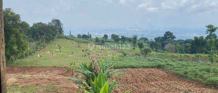 Tanah Best View Kota Istimewa Di Hambalang Citeureup Bogor 1