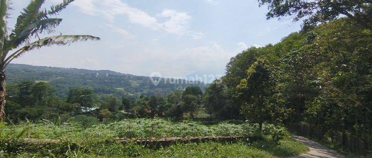 Tanah Best View Dekat Rainbow Hill Golf Cijayanti Bogor  1