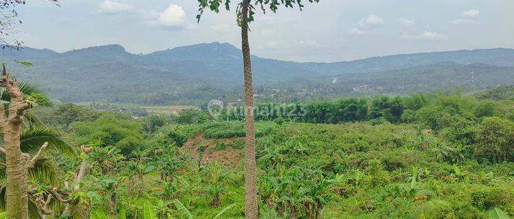 Tanah Best View Di Sukamakmur Bogor Harga Murah Pinggir Jalan 1