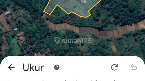Dijual Tanah Peternakan Di Subang Jawa Barat 1