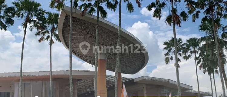 Dijual The Jungle Mall Bogor  1