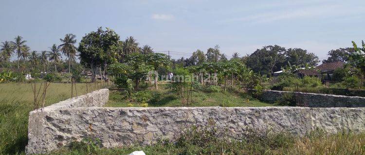 Dijual Tanah SHM Murah Di Srandakan Bantul 1