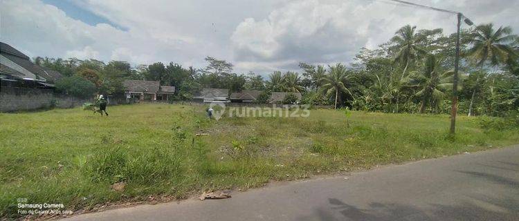 Jual Tanah Kavling Luas Tepi Jalan Raya Di Borobudur 1