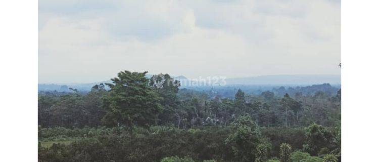 Dijual Tanah Kavling Murah Di Malang Raya View Pegunungan Harga 89 Jutaan 1