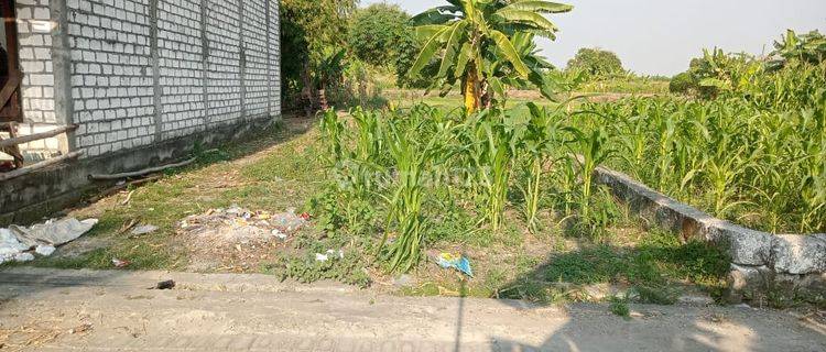  Tanah Murah Menganti Dijual Cepat 1