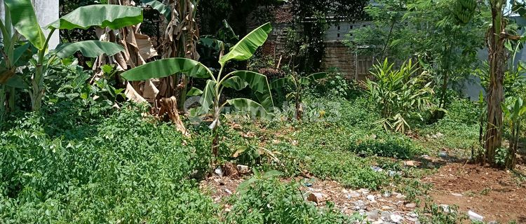 Jual Tanah Di Mijen 1