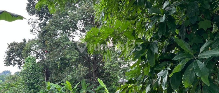 Jual Tanah Di Jl Raya Beringin Ngaliyan 1