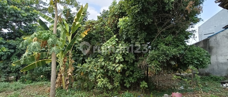 Land For Quick Sale On Ngaliyan Raya 1