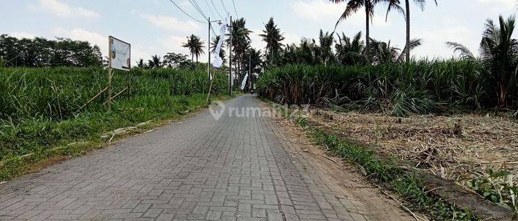 Tanah Bagus buat Perumahan/Kavling di Samping Perum Emerald Kota Malang Jawa Timur 1